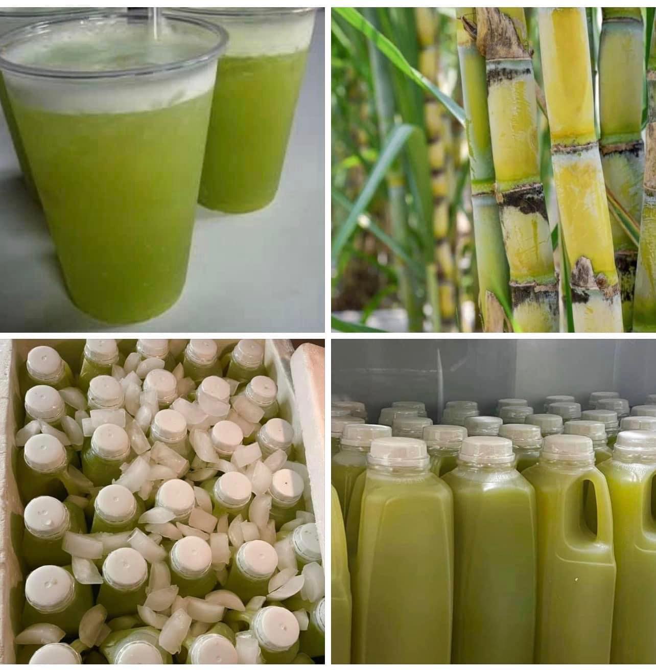 Sugarcane Juice (Quart Size Bottle (32oz))